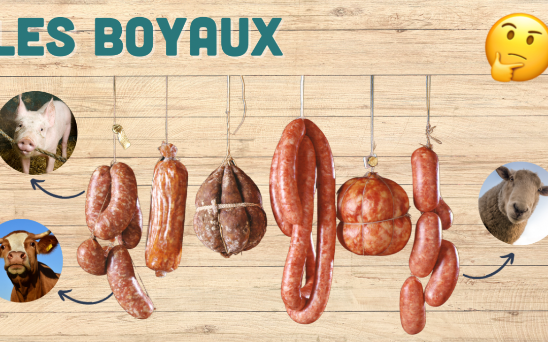 Les boyaux